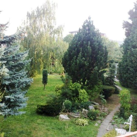Apartman S Terasou Όλομουτς Εξωτερικό φωτογραφία